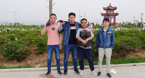 影視宣傳，我們是認(rèn)真的——西安網(wǎng)站建設(shè)助力影視行業(yè)騰飛